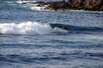 Brandungen Surfen