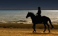 Teneriffa-Reiturlaub