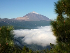 Teide Nationalpark - Geheimtipp für Natururlauber
