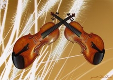 Geigen